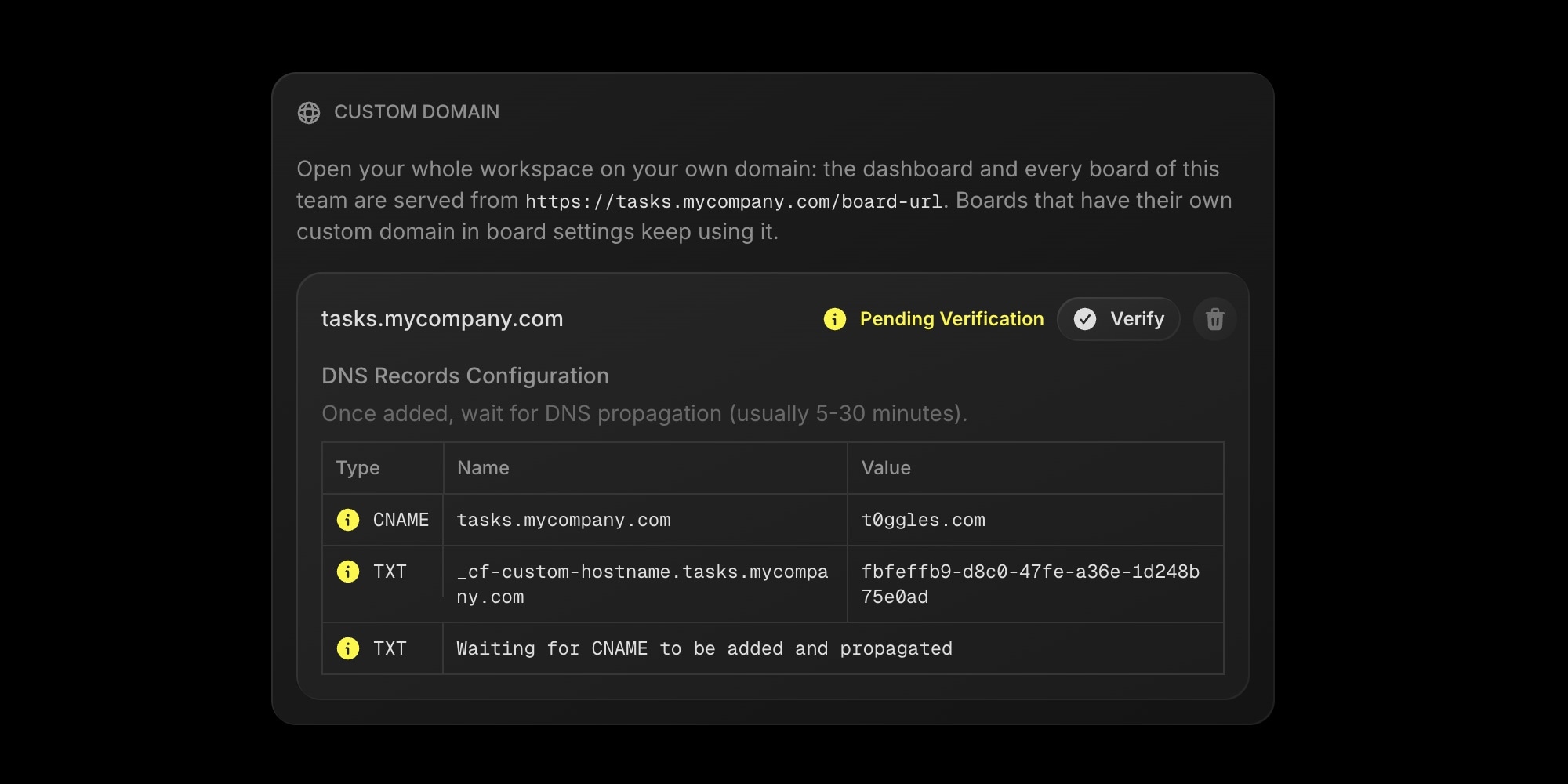 Team custom domain pending verification with the CNAME and TXT records to add
