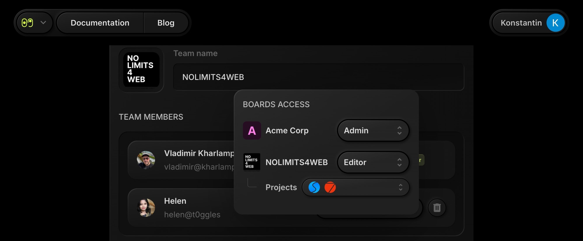 team members project access